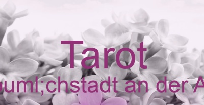 Tarot Höchstadt an der Aisch | Top-Experten für Kartenlegen, Wahrsagen, Hellsehen, Zukunftsdeutung. Tarot Höchstadt an der Aisch | Top-Experten für Kartenlegen, Wahrsagen, Hellsehen, Zukunftsdeutung.